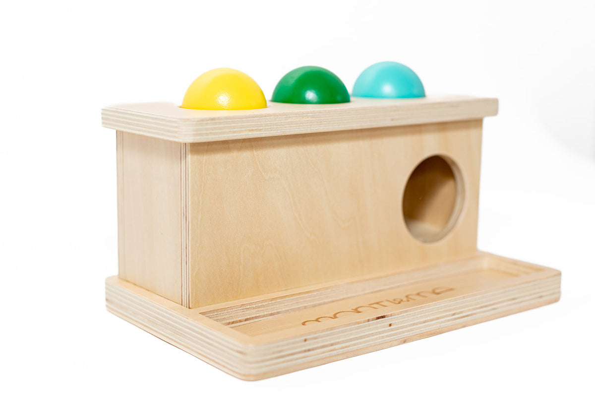 Montessori Push Down Balls for Toddlers
