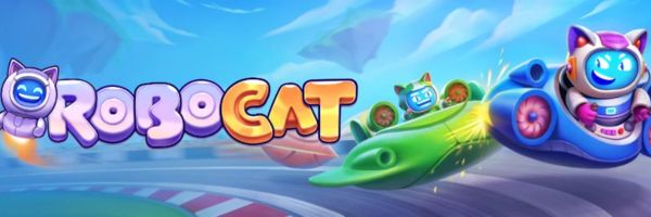 Robocat Casino licence details checked against the Curacao register